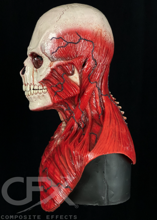 Silicone Skull Mask - the Masks CFX Yorick